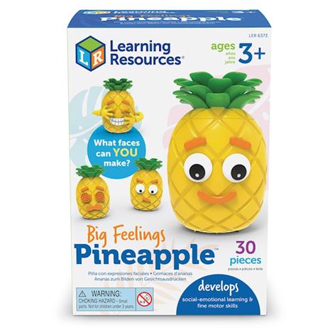 Learning Resources - Big Feelings Pineapple (LSP6373-SCA)