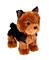 LUMO STARS YORKSHIRE TERRIER DAISY 15CM – kuva 1