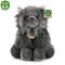 RAPPA PERSIAN KISSA 30CM PEHMO – kuva 1