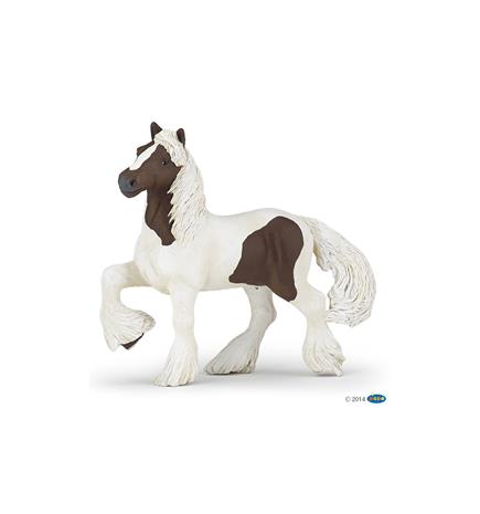 PAPO 51513 SKEWBALD IRISH COB