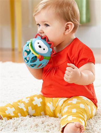 Skip Hop Explore&More Roller Skull siili