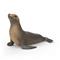 Schleich Sea Lion – kuva 2