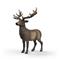 Schleich Elk – kuva 2