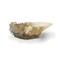 Harry Potter: Replica - Crystal Goblet GADGET – kuva 1