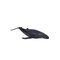 Mojo Sealife Humpback Whale - 387119 – kuva 1