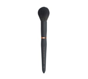 YoungBlood Luxe YB5 Cheek Highlighter-sivellin 1 kpl