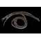 Formbot Troodon Z Belt For 300 – kuva 1