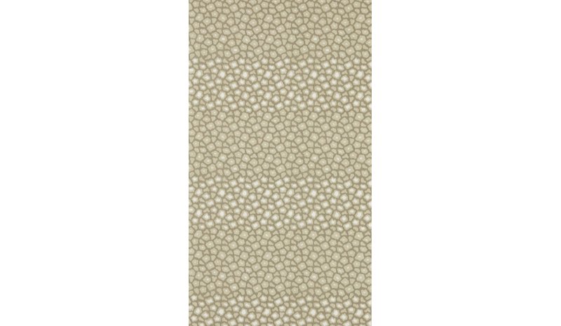 Loam Sandstone - HDMW113297 Tapetti – kuva 1/1