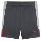 Puma IndividualLIGA Football Training Shorts Youth