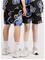 Solid SDLIAM FLOWER Shortsit meteorite – kuva 1