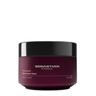 Sebastian Professional Penetraitt Rescue Repair Mask 145ml