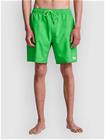 RVCA Judgement Elastic 18 Shortsit vibrant green Miehet