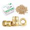 Mintion M2 X 4mm X 3,6mm Threaded Insert Set - 70 Pcs – kuva 1