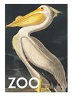 Poster & Frame Poster & Frame A.p. Atelier - The Zoo Collection — White Pelican — Edt. 002 - Multi/patterned - 50X70CM