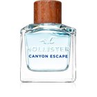 Hollister Canyon Escape - EdT 100 ml