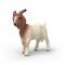 Schleich Boer Goat – kuva 2