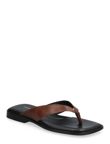 Pavement Palina - Brown - 41