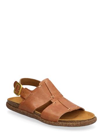 ANGULUS Sandals - Flat - Open Toe - Op - Brown - 42