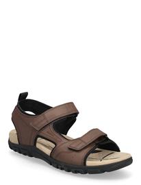 GEOX Uomo Sandal Strada B - Brown - 46