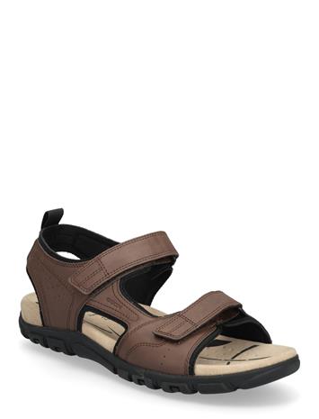 GEOX Uomo Sandal Strada B - Brown - 46