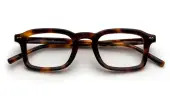 Juniper - Shiny Havana – kuva 1/1