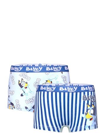Bluey Boxer - Multi/patterned - 110/116