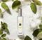 Jo Malone Wood Sage & Sea Salt EDC - 30 ml – kuva 4