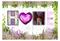 Artgeist Heather Seclusion fototapetti – kuva 1