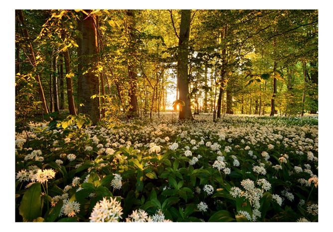Artgeist Forest Flora fototapetti – kuva 1/1