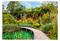 Artgeist Green Oasis fototapetti – kuva 1