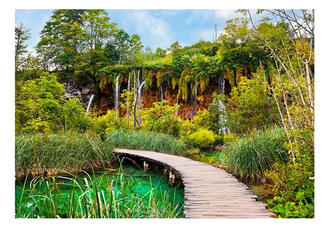 Artgeist Green Oasis fototapetti – kuva 1/1