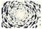 Artgeist Fish Swirl fototapetti – kuva 1