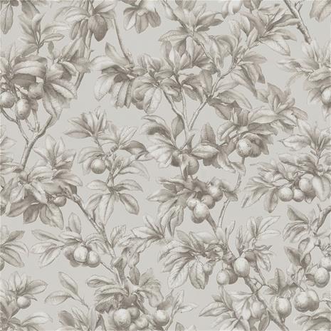 Esaias Beige - 1105101-01 Tapetti