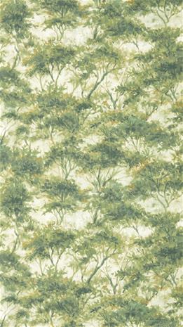 Boschetto Forest - CCW0164-03 Tapetti