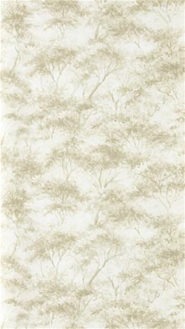 Boschetto Savannah - CCW0164-02 Tapetti