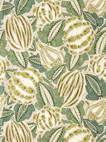 Zenith Blush/forest - HFUP113359 Tapetti