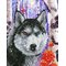 DD FOREST WOLF TIMANTTITYä? – kuva 1
