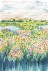 Wildbloom Summer - CCW0171-01 Tapetti