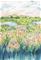 Wildbloom Summer - CCW0171-01 Tapetti – kuva 1