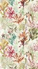 Oceana Coral - CCW0168-01 Tapetti
