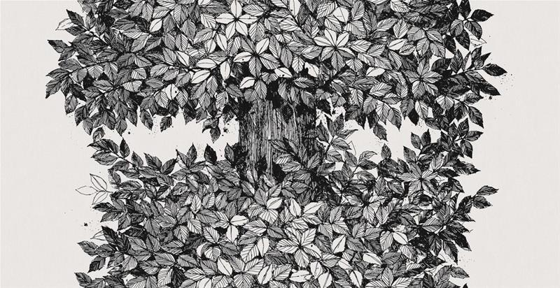 Viola Grä¥sten Hassel - 9818W Tapetti