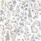 Putte Grey - 1064001-04 Tapetti – kuva 1