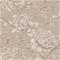 Timothy Brown - 1109001-04 Tapetti – kuva 1