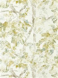 Ceiba Nectar - HFUP113344 Tapetti