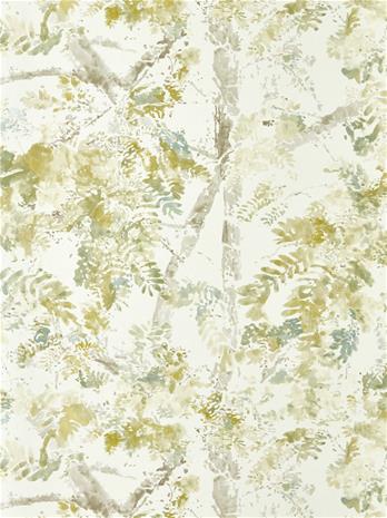 Ceiba Nectar - HFUP113344 Tapetti