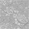Timothy Grey - 1109001-02 Tapetti – kuva 1