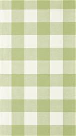 Central Check Pea Green - NPOP113417 Tapetti