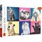 Palapeli: Kittens (500) PALA – kuva 1