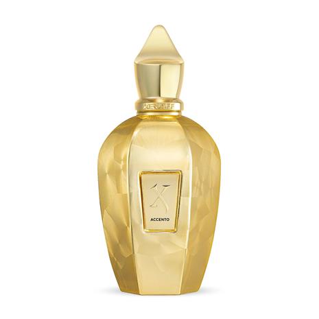 Xerjoff Vibe Accento Overdose - EdP 100 ml