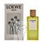 LOEWE Agua De Loewe - EdT 100 ml – kuva 1
